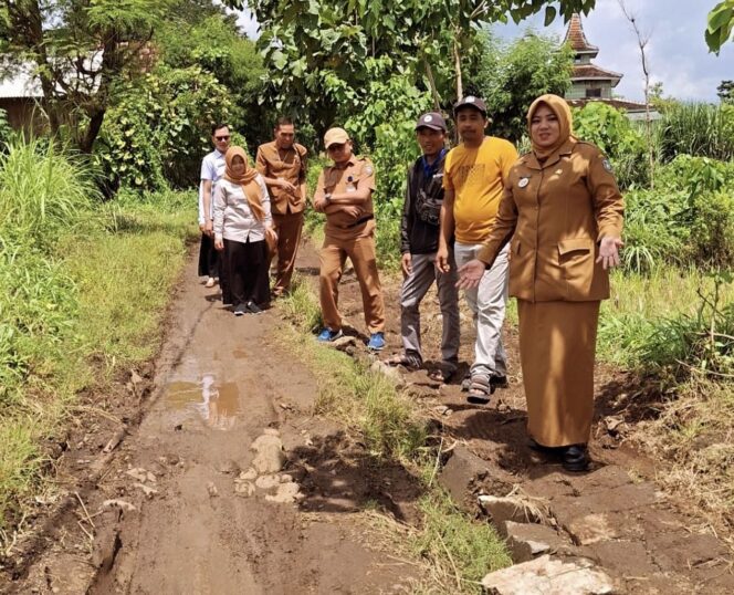 
 Wabup Situbondo Ulfiyah Blusukan ke Polay Bheleng, Pastikan Jalan Baru Segera Terwujud